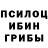 Псилоцибиновые грибы Psilocybe Jutuse
