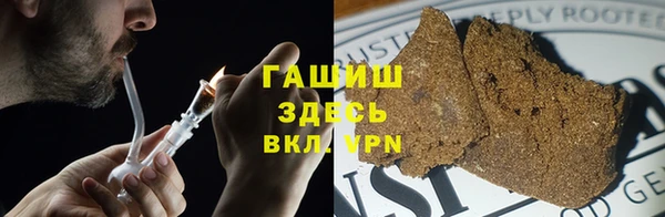 СК Новодвинск