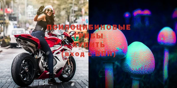 PSILOCYBIN Алексин
